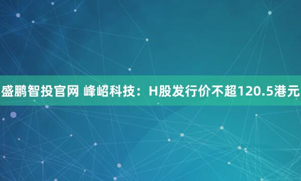 盛鹏智投官网 峰岹科技：H股发行价不超120.5港元