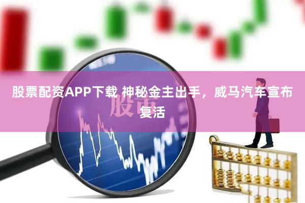 股票配资APP下载 神秘金主出手,威马汽车宣布复活